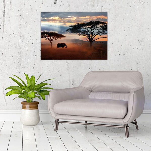 Slika - Nacionalni park Serengeti, Tanzanija, Afrika (70x50 cm)