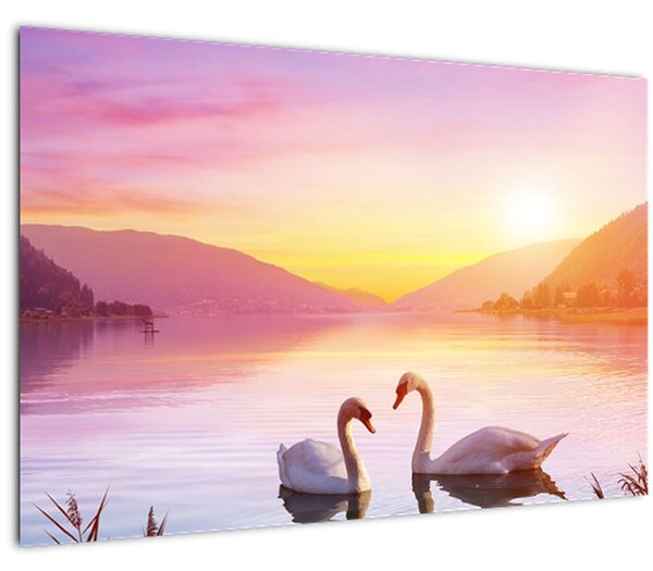 Slika zaljubljenih labodov (90x60 cm)