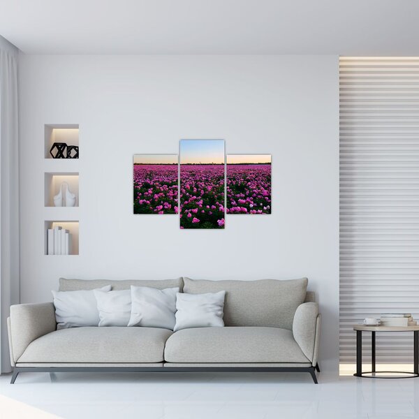 Slika - Travnik vijoličnih tulipanov (90x60 cm)
