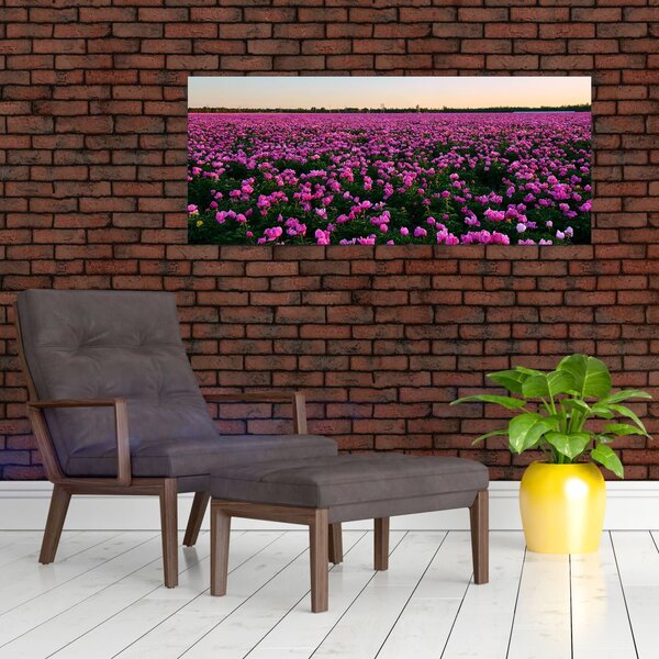 Slika - Travnik vijoličnih tulipanov (120x50 cm)