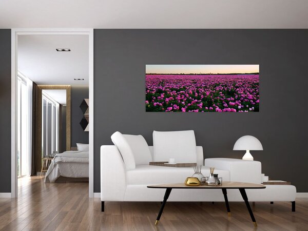 Slika - Travnik vijoličnih tulipanov (120x50 cm)