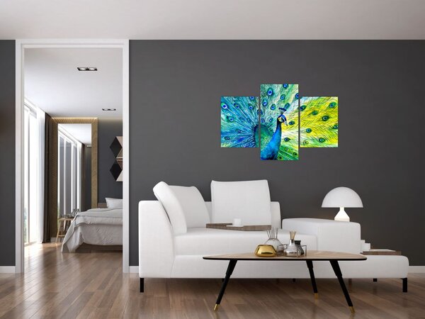 Podoba pava (90x60 cm)