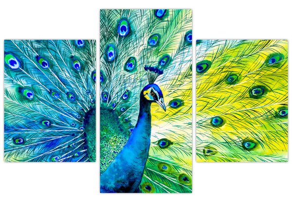 Podoba pava (90x60 cm)