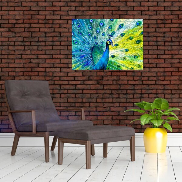 Podoba pava (70x50 cm)
