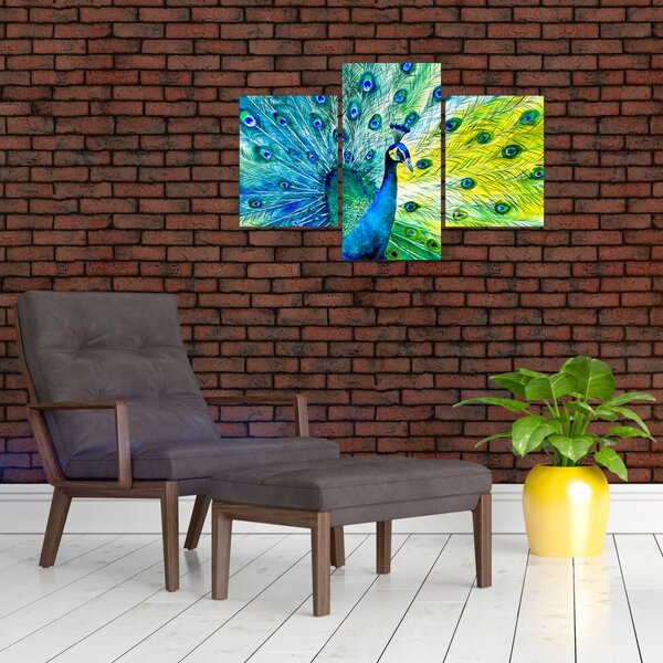 Podoba pava (90x60 cm)