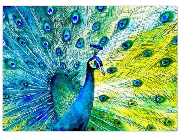 Podoba pava (70x50 cm)