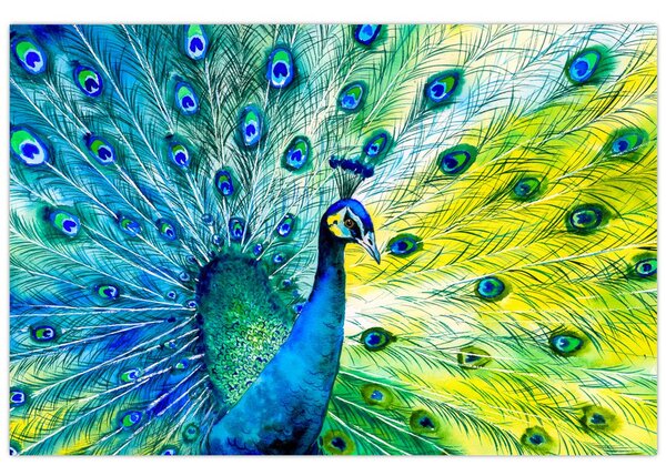 Podoba pava (90x60 cm)