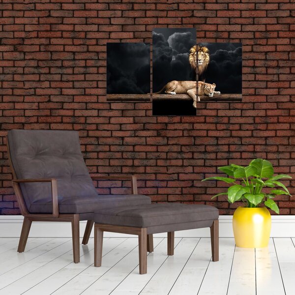 Slika - Lev in levinja v oblakih (90x60 cm)