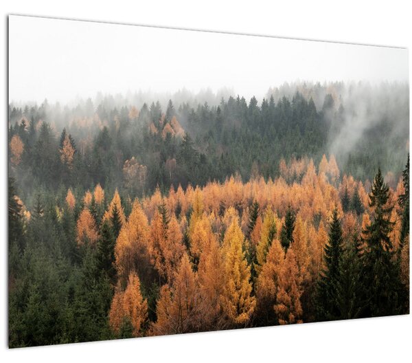 Slika - Jesenski gozd (90x60 cm)