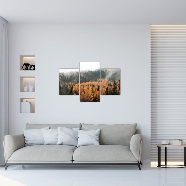 Slika - Jesenski gozd (90x60 cm)