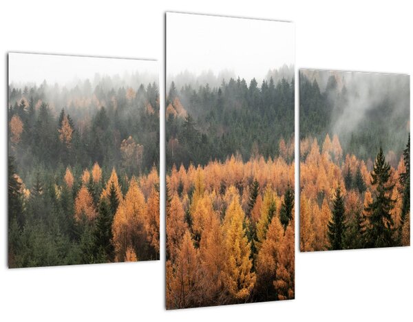 Slika - Jesenski gozd (90x60 cm)
