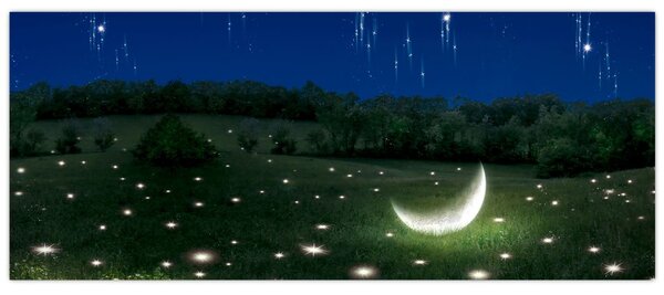 Slika - Padajoče nebo (120x50 cm)