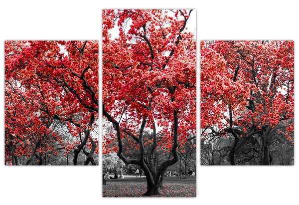 Slika - Rdeča drevesa, Central Park, New York (90x60 cm)
