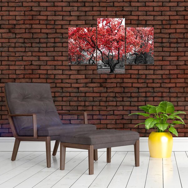 Slika - Rdeča drevesa, Central Park, New York (90x60 cm)