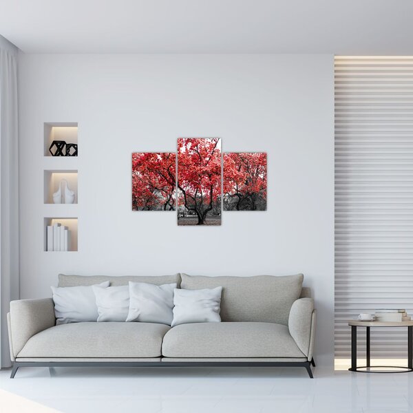 Slika - Rdeča drevesa, Central Park, New York (90x60 cm)