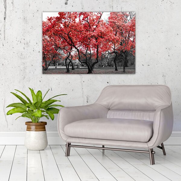 Slika - Rdeča drevesa, Central Park, New York (90x60 cm)