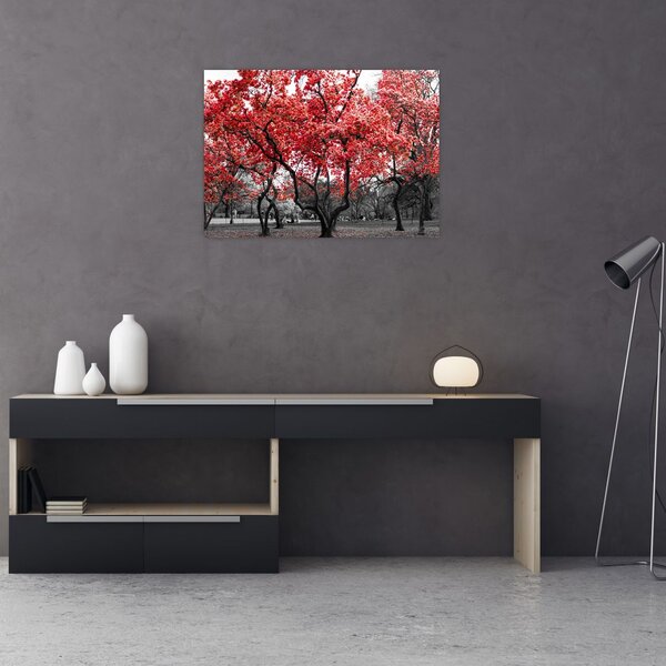Slika - Rdeča drevesa, Central Park, New York (70x50 cm)