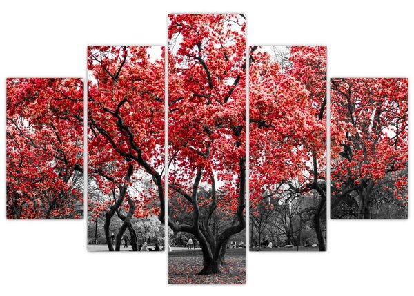 Slika - Rdeča drevesa, Central Park, New York (150x105 cm)