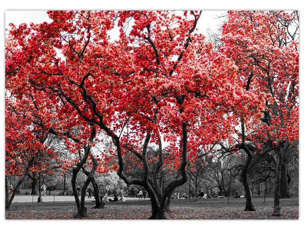 Slika - Rdeča drevesa, Central Park, New York (70x50 cm)