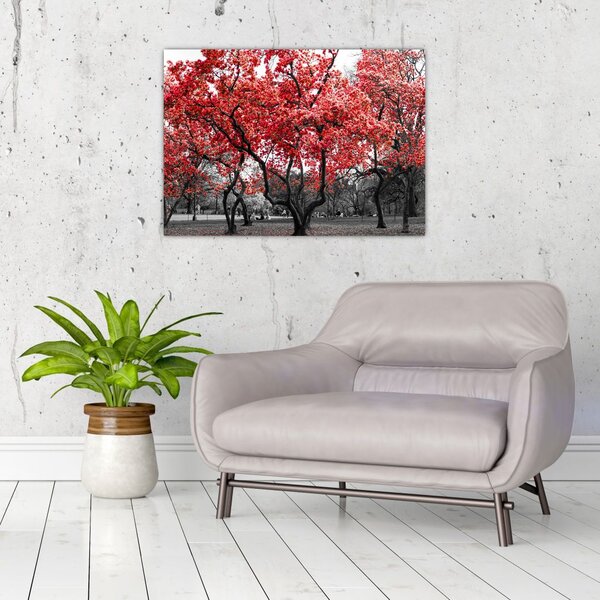 Slika - Rdeča drevesa, Central Park, New York (70x50 cm)