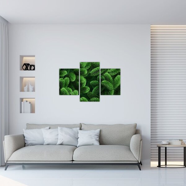 Slika - Vejice iglavcev (90x60 cm)