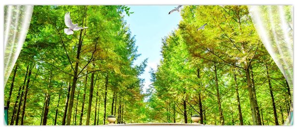 Slika - Pogled na gozd (120x50 cm)