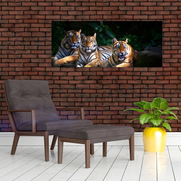 Slika - Tiger bratje (120x50 cm)