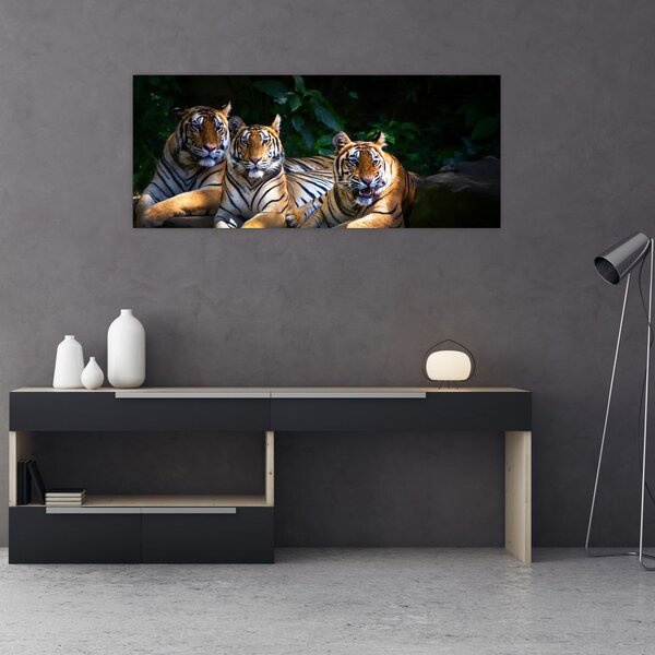 Slika - Tiger bratje (120x50 cm)