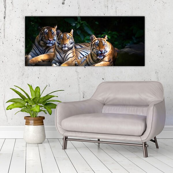 Slika - Tiger bratje (120x50 cm)