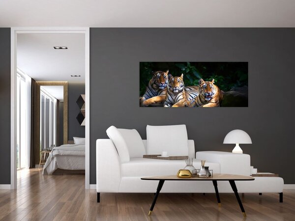 Slika - Tiger bratje (120x50 cm)