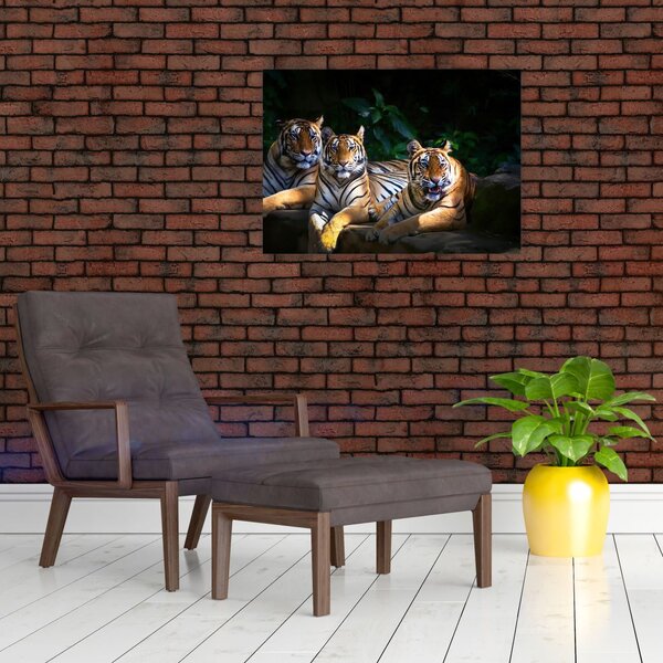 Slika - Tiger bratje (70x50 cm)