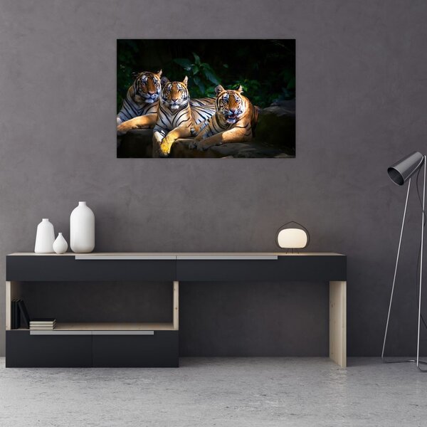 Slika - Tiger bratje (90x60 cm)