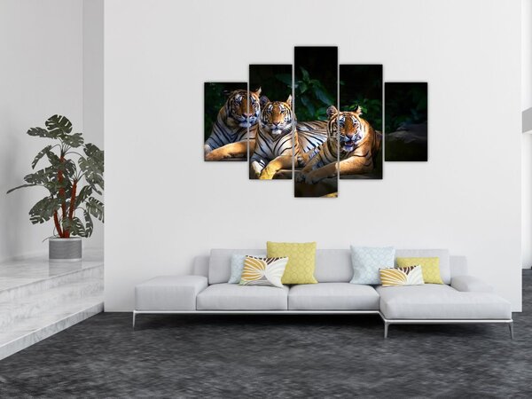 Slika - Tiger bratje (150x105 cm)