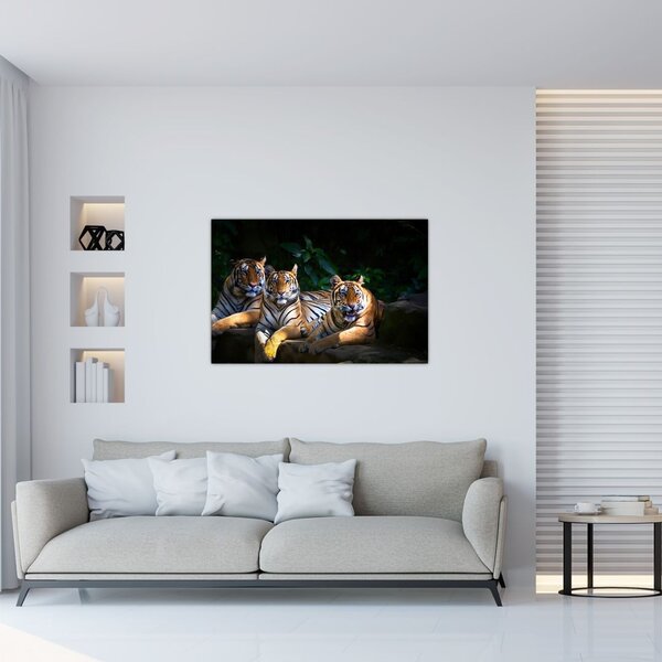 Slika - Tiger bratje (90x60 cm)
