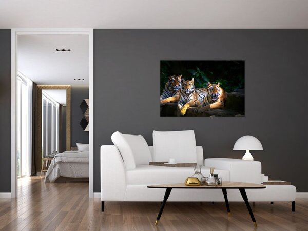Slika - Tiger bratje (90x60 cm)