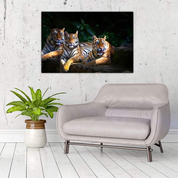Slika - Tiger bratje (90x60 cm)