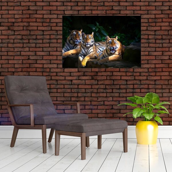 Slika - Tiger bratje (90x60 cm)
