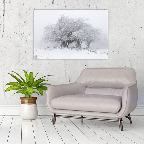 Slika - Bela zima (90x60 cm)