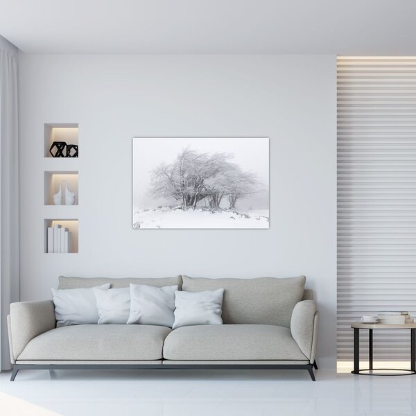 Slika - Bela zima (90x60 cm)