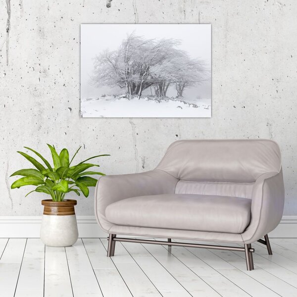 Slika - Bela zima (70x50 cm)