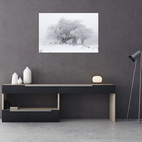Slika - Bela zima (90x60 cm)