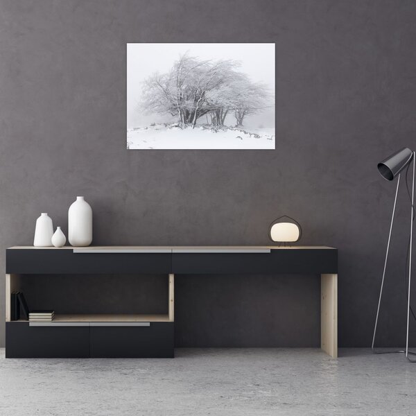 Slika - Bela zima (70x50 cm)