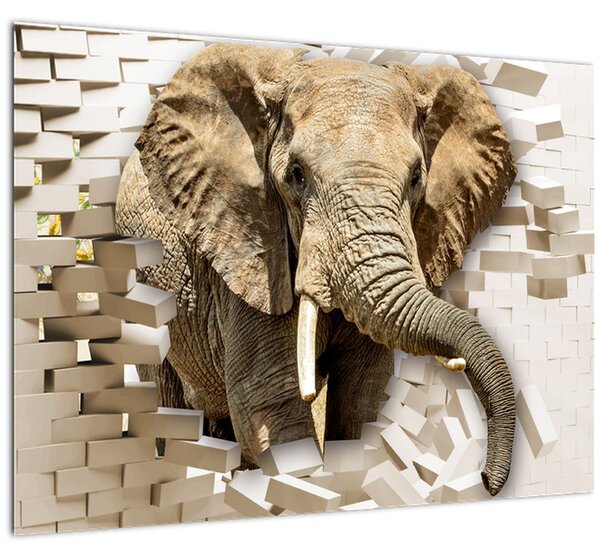 Slika - Slon prebija zid (70x50 cm)