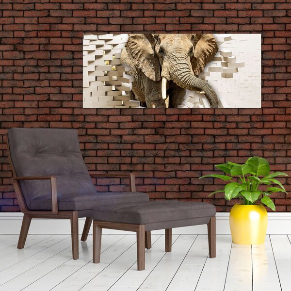 Slika - Slon prebija zid (120x50 cm)