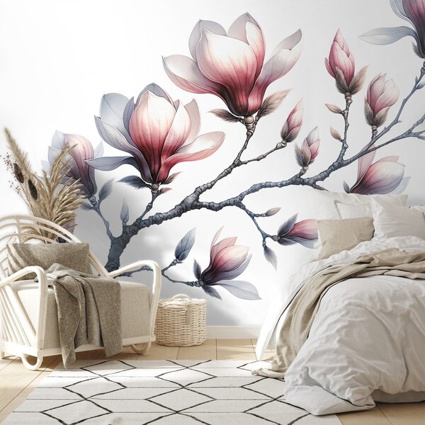 Fototapeta nježne magnolije na bijeloj pozadini