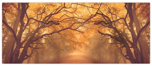 Slika ceste u jesenskom krajoliku (120x50 cm)