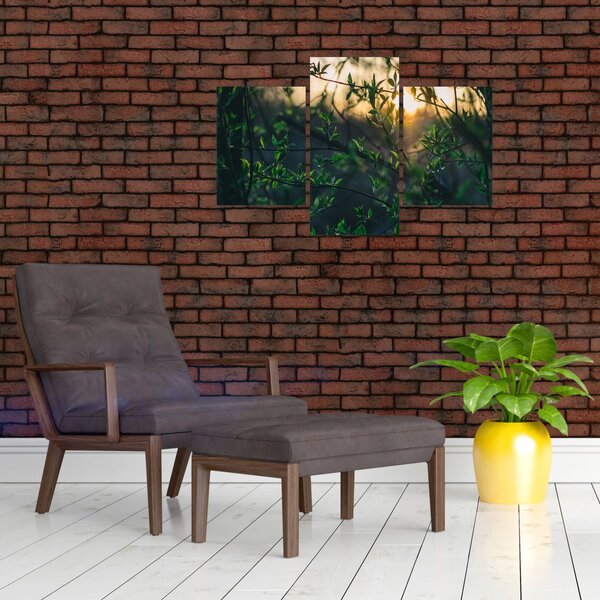 Slika sunca koje sja kroz grančice drveća (90x60 cm)