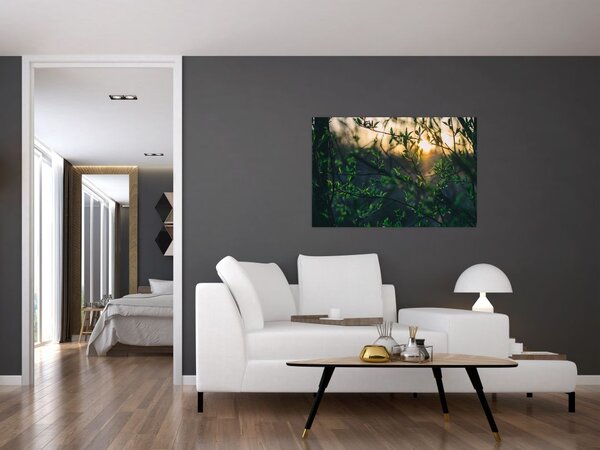 Slika sunca koje sja kroz grančice drveća (90x60 cm)