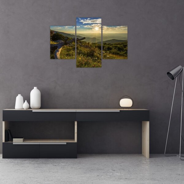 Slika - Pogled na okolicu (90x60 cm)
