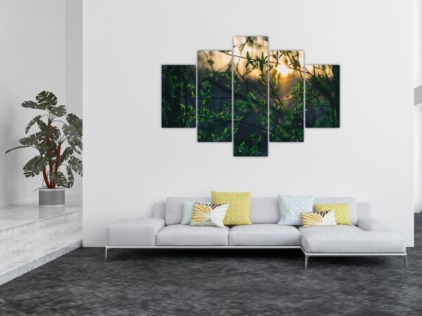 Slika sunca koje sja kroz grančice drveća (150x105 cm)